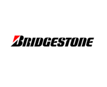 Customer Logo